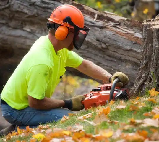 tree services Burwell